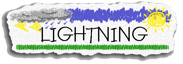 Lightning  ...  from aviationweatherinc.com !!